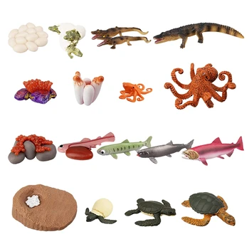 17PCS Živali Življenjskega Cikla Figurice Zeleno Morsko Želvo Krokodil Hobotnica Losos Ribe, Simulacije Živali Model Rasti