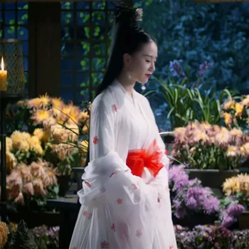 Feng Qing Chen Bela Vila Kostum z Rdeče Rože Hanfu Kostum za Najnovejši TV Play Zui Ling Dolgo Klasični Ples Kostum Fazi 4