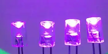 Konkavno 5 MM Vijolična Vijolična LED Diode Za Božično Razsvetljavo