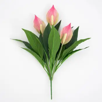 Umetnost Cvet Dekor Živo Umetne Rože Lepe Fine Teksture Simulacije Spathiphyllum